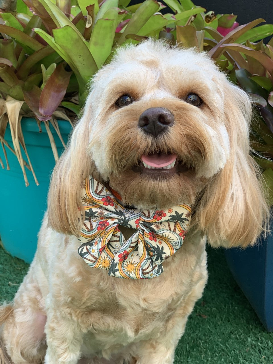 Trippy Hippie Sailor Bow Tie